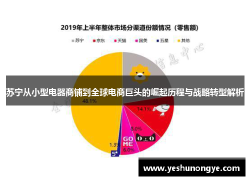 苏宁从小型电器商铺到全球电商巨头的崛起历程与战略转型解析